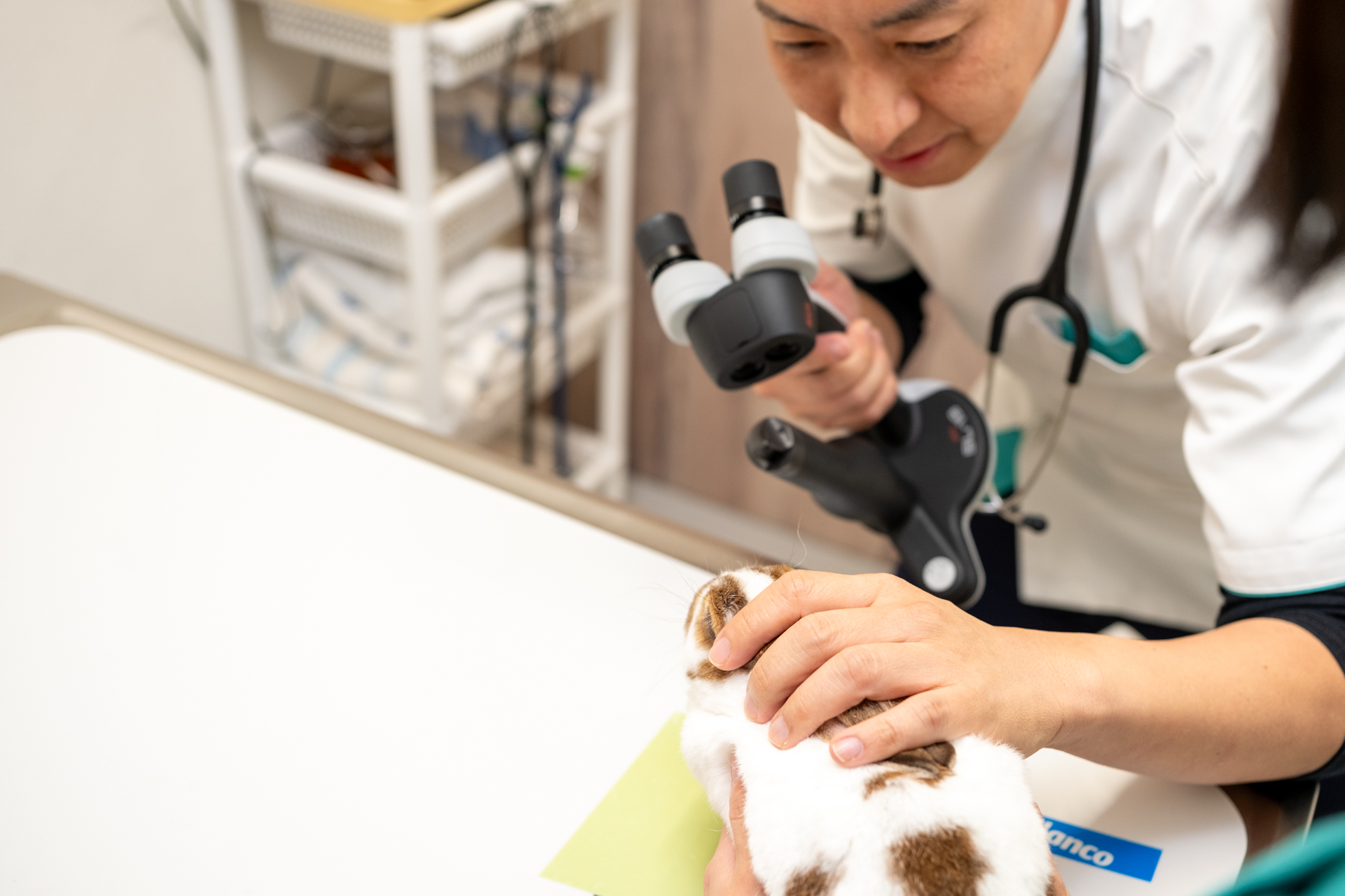 多様な視点からペットの健康を守る様子