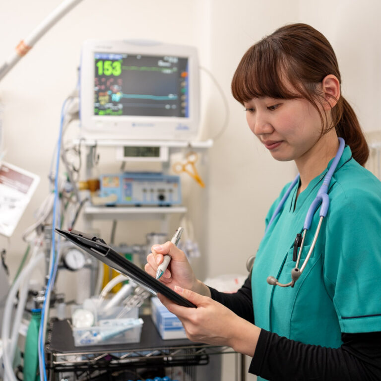 手術室で記録をとる動物看護師