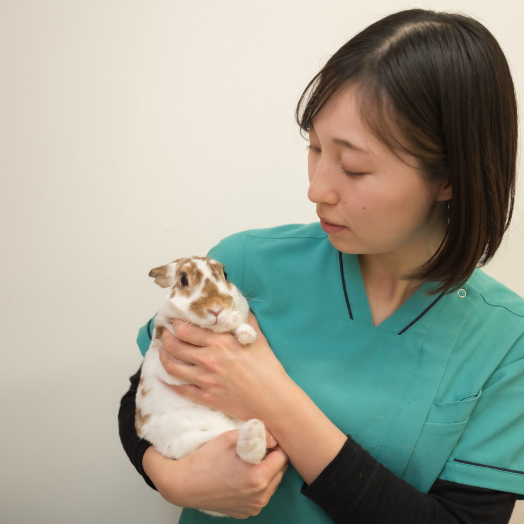 ウサギを抱く動物看護師