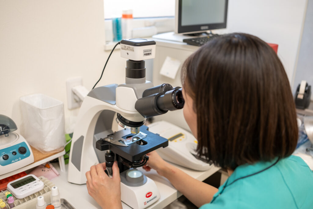 検査室で顕微鏡を操作する動物看護師