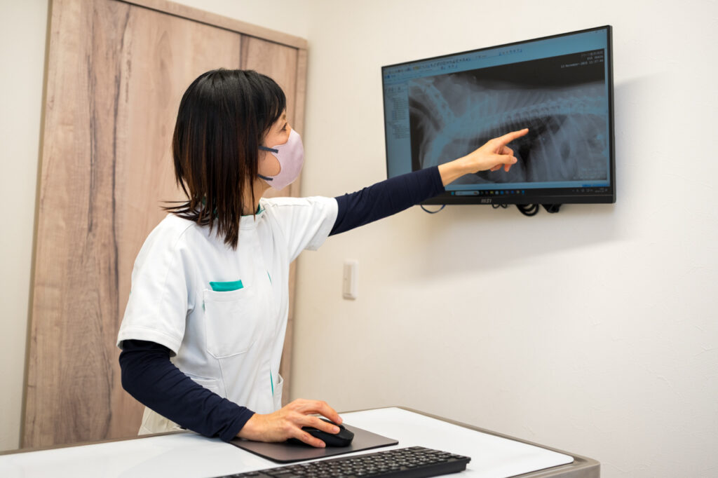 レントゲン画像を確認する獣医師