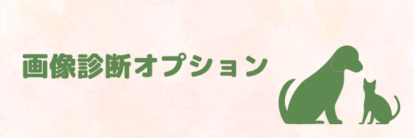 ベーシックパック